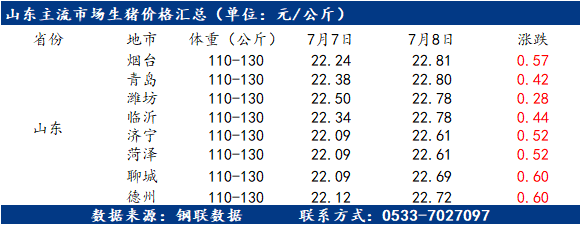 临沂最新猪价动态分析与趋势预测