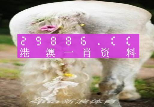 工程管理 第125页