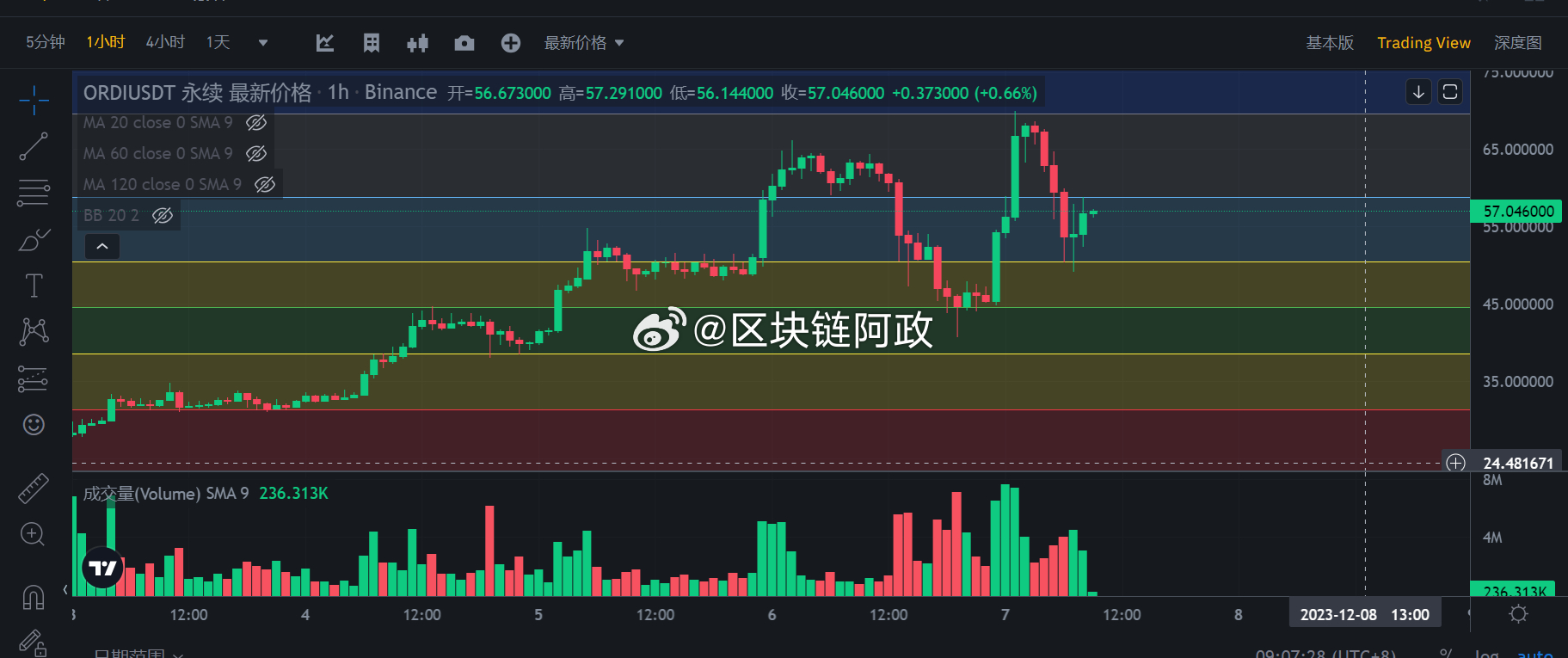 最准一肖一码100%,高度协调策略执行_soft22.786