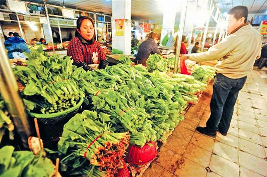 武汉蔬菜批发市场繁荣兴盛，最新蔬菜批发资讯概览